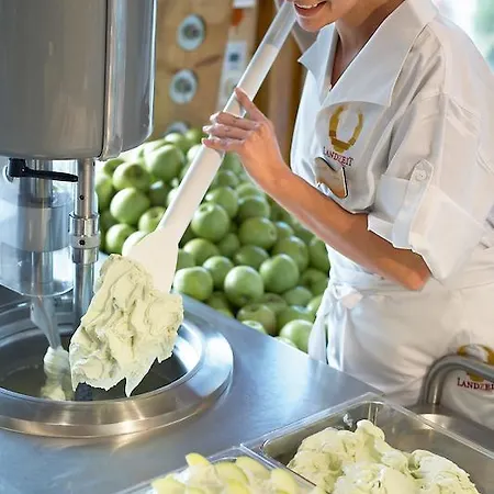 Hotel Landzeit Tauernalm Flachau